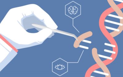 CRISPR and Cas9 Gene-Editing Therapy Starting In The USA